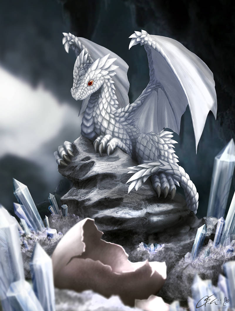 Jeune dragon de glace